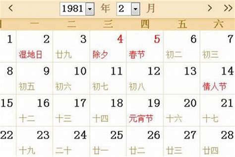 1981年是什麼年|1981是民國幾年？1981是什麼生肖？1981幾歲？